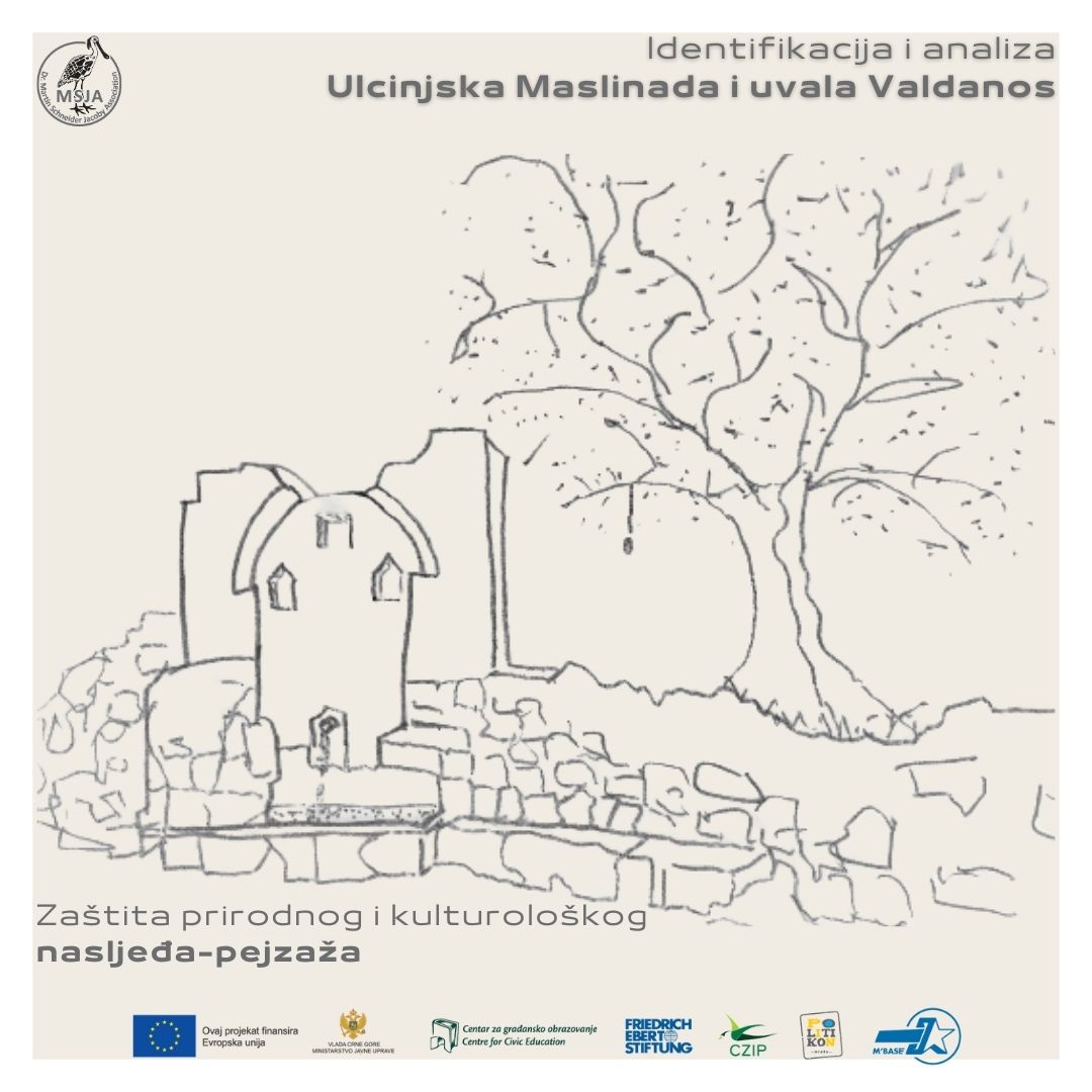 MBase – Početak implementacije projekta: Identifikacija i analiza “Ulcinjska Maslinada i uvala Valdanos – zaštita prirodnog i kulturološkog nasljeđa-pejzaža”